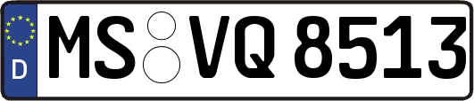 MS-VQ8513