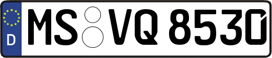 MS-VQ8530