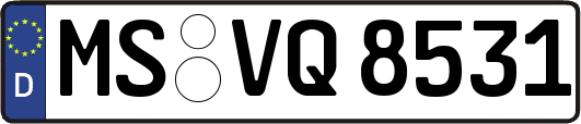 MS-VQ8531