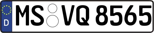 MS-VQ8565