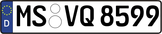MS-VQ8599