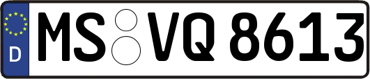 MS-VQ8613