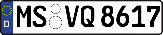 MS-VQ8617