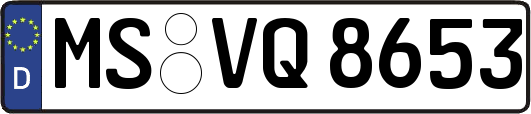 MS-VQ8653