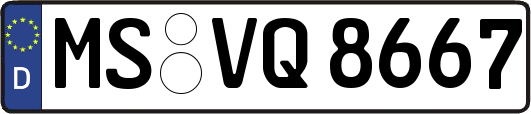MS-VQ8667