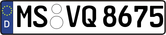 MS-VQ8675