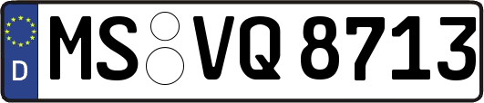 MS-VQ8713