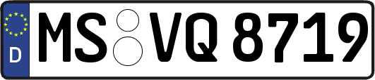 MS-VQ8719