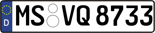 MS-VQ8733
