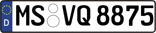 MS-VQ8875