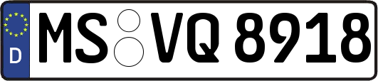 MS-VQ8918