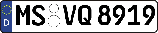 MS-VQ8919