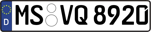 MS-VQ8920