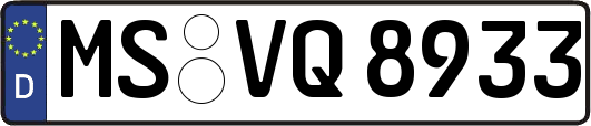 MS-VQ8933