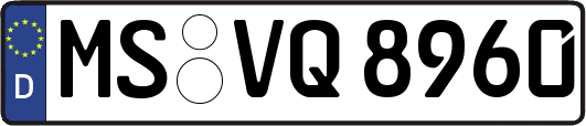 MS-VQ8960