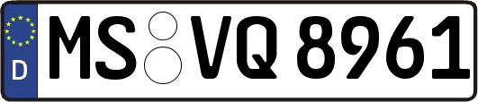 MS-VQ8961