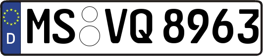 MS-VQ8963