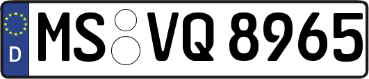 MS-VQ8965