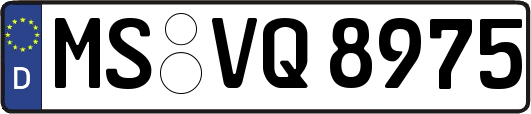 MS-VQ8975