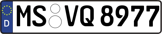 MS-VQ8977