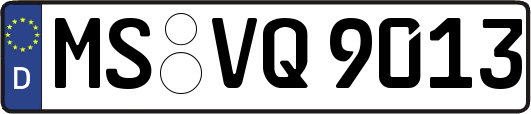 MS-VQ9013