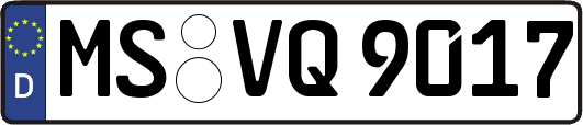 MS-VQ9017