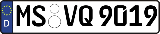 MS-VQ9019