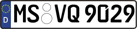 MS-VQ9029