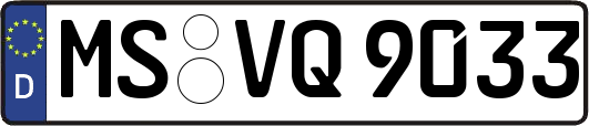 MS-VQ9033