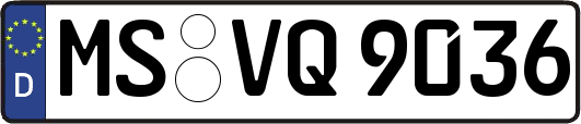 MS-VQ9036