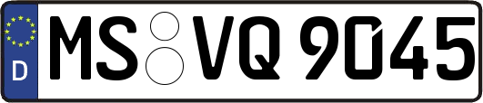 MS-VQ9045