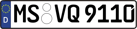 MS-VQ9110