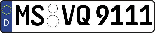 MS-VQ9111