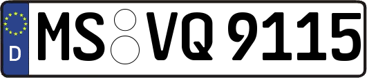 MS-VQ9115