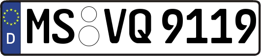 MS-VQ9119