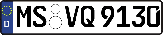MS-VQ9130
