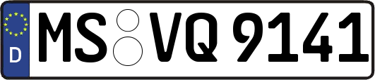 MS-VQ9141