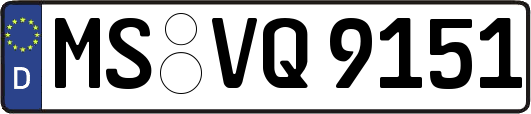 MS-VQ9151