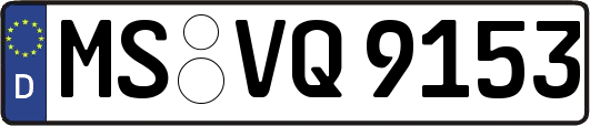 MS-VQ9153