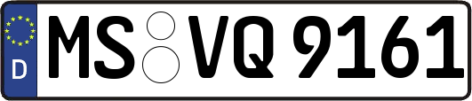 MS-VQ9161