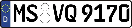 MS-VQ9170