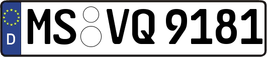 MS-VQ9181