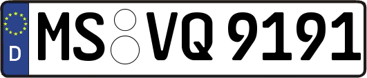 MS-VQ9191