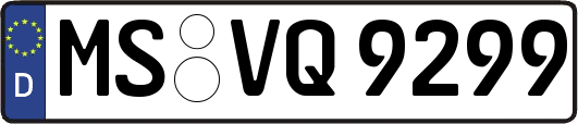 MS-VQ9299