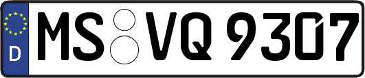 MS-VQ9307