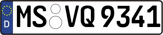 MS-VQ9341