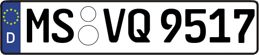 MS-VQ9517