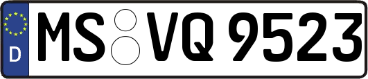 MS-VQ9523