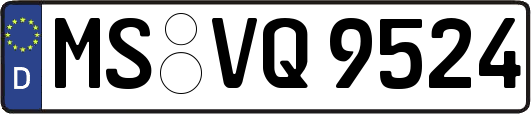 MS-VQ9524