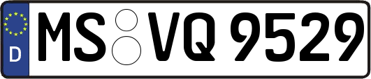 MS-VQ9529